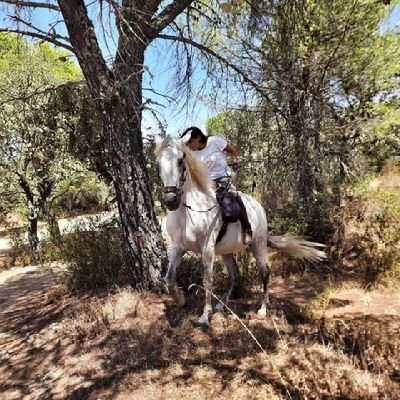 My life with my horses in Sierra Morena💞
#horses #SierraMorena #Cordoba #naturalhorsemanship #caballos #Navarra
