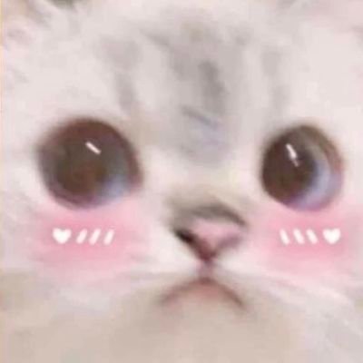 kiirstybird's profile picture. oof