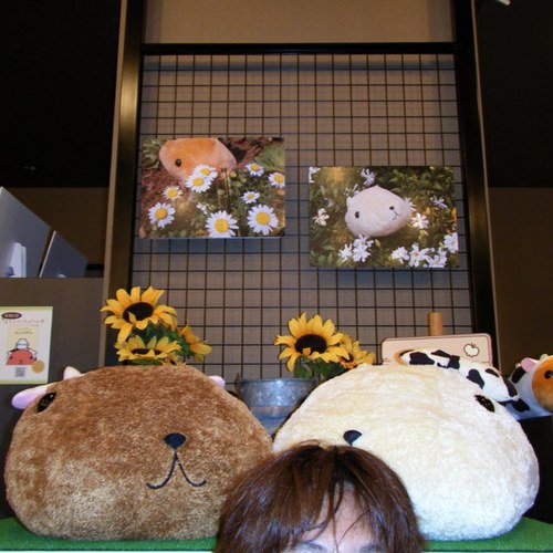 kikilala_apple's profile picture. 