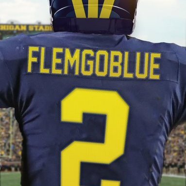 flemgoblue Profile Picture