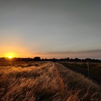 Dylan Davies (@_dyland_) 's Twitter Profile