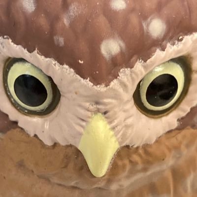 まっか〜さんのプロフィール画像