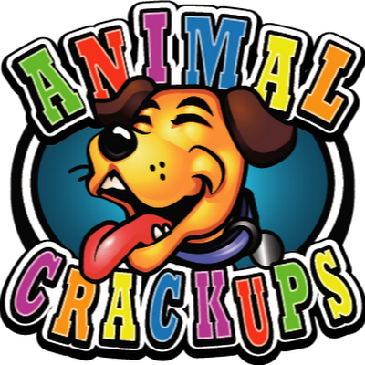 Animal Crackups