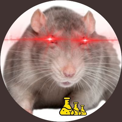 Brewlab rat and fan of cheese https://t.co/oPAohlxSSE