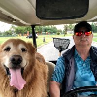 mark lawrie (@mlawrie57) 's Twitter Profile