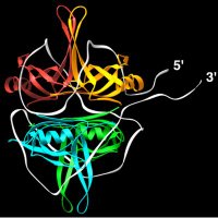 Tim Lohman (@lohman_lab) 's Twitter Profile