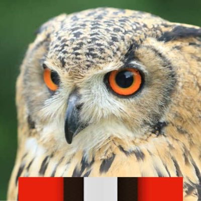 BrownsOwl Profile Picture