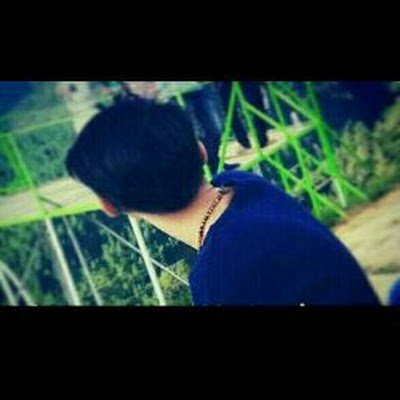 Al Inst/Arichain Profile