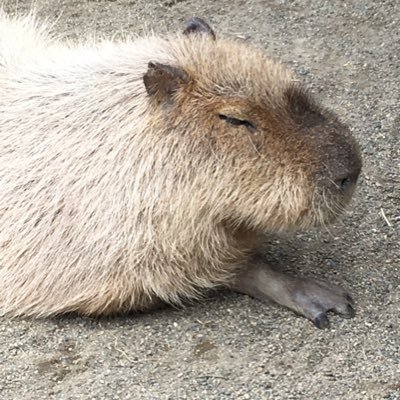 WB9LauduLhdYvvM's profile picture. 