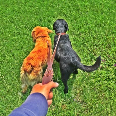 alx_nze's profile picture. 😎