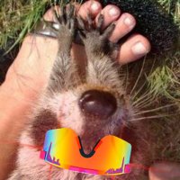 ╰☆☆ ร𝓸𝐧Ƴ𝒶 ☆☆╮ (@sonyasmith) 's Twitter Profile Photo ╰☆☆ ร𝓸𝐧Ƴ𝒶 ☆☆╮ (@sonyasmith) 's Twitter Profile Photo