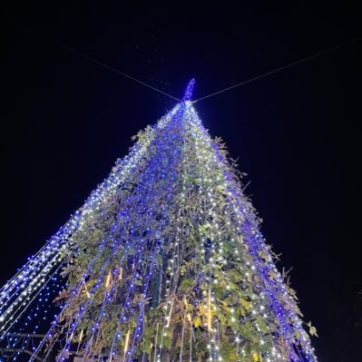 sorosoro_okiyo's profile picture. 