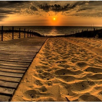 sumikha64048482's profile picture. Business