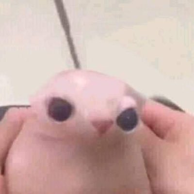 alayajsimpson's profile picture. she/her