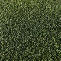Tom Wood 🌱 (@tomwood_turf) 's Twitter Profile