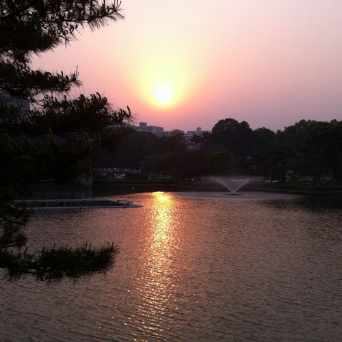 darkeye212's profile picture. 