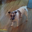 Ted Berry - @Pittfan68 - Twitter