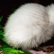 Nguyễn Mạnh Hùng (@nguynmn73328566) 's Twitter Profile