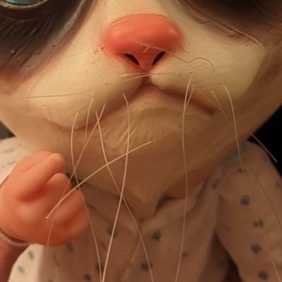 Documenting the life of Cat Baby.
No Photoshop, real life.
Not a real baby.