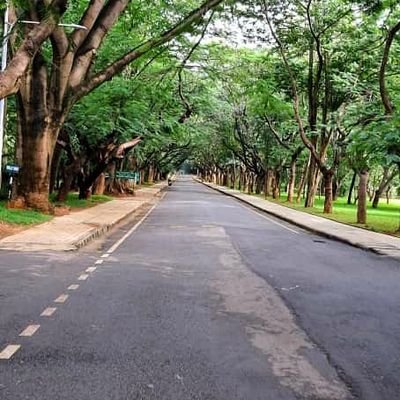 Research Scholar @CeNSE,IISc