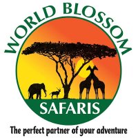 World Blossom safaris Uganda(@BlossomSafaris) 's Twitter Profile Photo