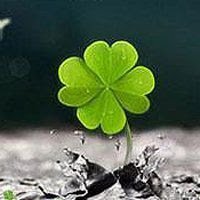 ChanChanToday's profile picture. A lazy human