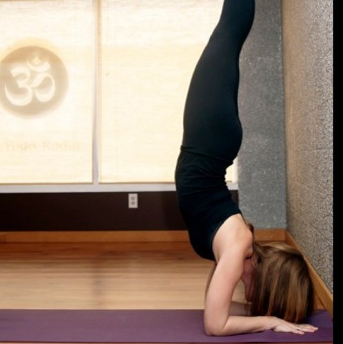 jillgomo's profile picture. 