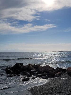 CCharmpilas's profile picture. 