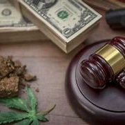 National Association of Black Cannabis Lawyers