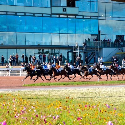 HippoMauq's profile picture. Suivez l'actualité de notre hippodrome ! 🐎🐎🐎