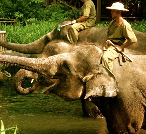 eld3's profile picture. 