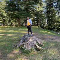Dharmendra Patel (@dharmen64752624) 's Twitter Profile