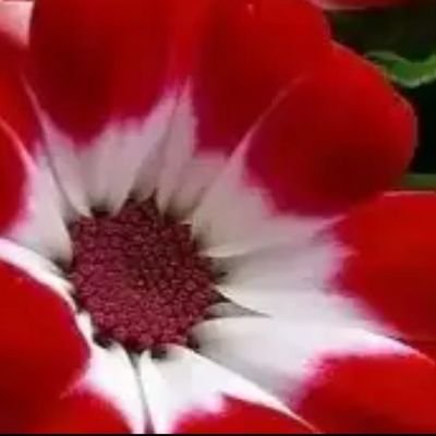 sasw201's profile picture. كن عزيز النفس