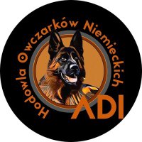 Hodowla Owczarków Niemieckich Adi FCI(@Aneta43886780) 's Twitter Profile Photo