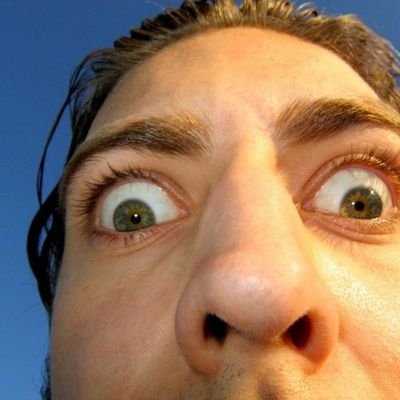 ShitcoinSniffer's profile picture. Got my nose in everything shitcoin related.