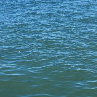 はんむらび (@lv4tw8) 's Twitter Profile