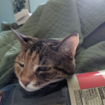 I'm the torty that helps orange himbos. Use care when buttering.