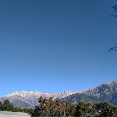 krishnazon11's profile picture. CSIR IHBT