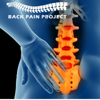 The Back Pain Project(@BackPainProject) 's Twitter Profile Photo