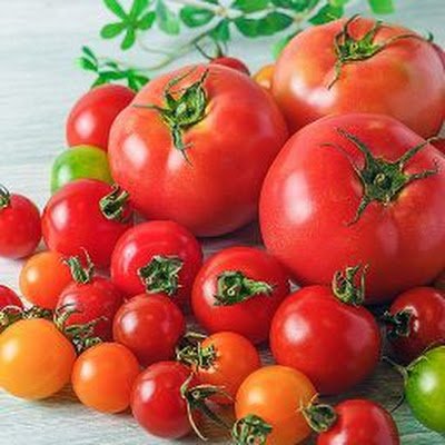 tomatofruitsvv's profile picture. トマト　フルーツ　抹茶　ヴィレヴァン　オリックス　グミ