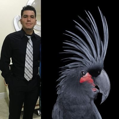 Vegan/MD/Colombian/Herbalife distributor (not a pyramid scheme!)
/Religions Coexist/Kappa Sigma Delta/Bitcoin investor/ God Damn 47!
