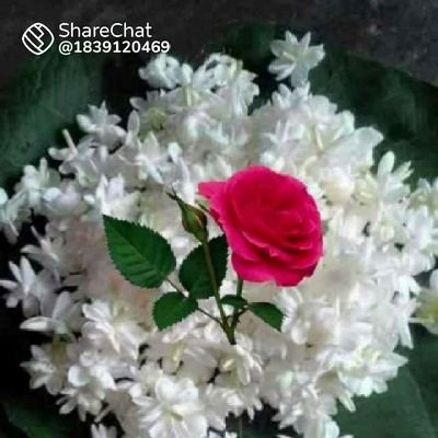 ishagoy18087221's profile picture. 