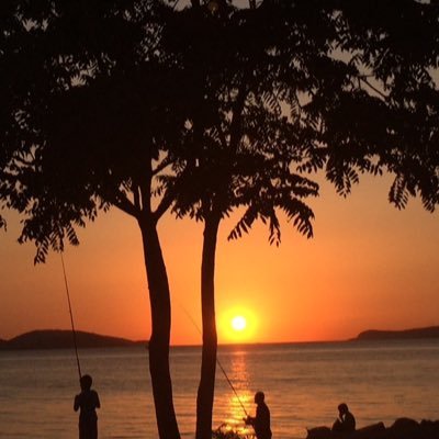 M_H_A61's profile picture. ∞