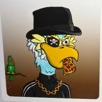 KVO (@kyptokvo) 's Twitter Profile