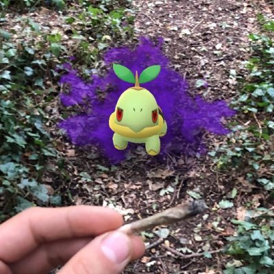 dexterg99's profile picture. 