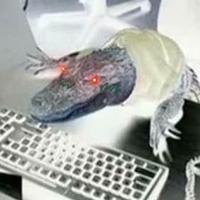 EdusExMachina's profile picture. 