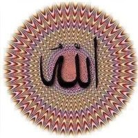 ابو أحمد المكلاني (جنوبي الهوى) (@almaklany1) 's Twitter Profile