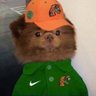 FamuGameday's profile picture. FAMU sports opinions, rumors, and anything else that comes to mind #WhyNotUs (Not officially affiliated with Florida A&M University)