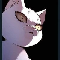 materwelon (@jaeminnap) 's Twitter Profile