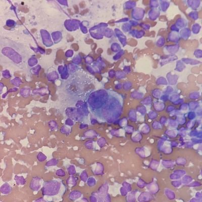 OKCPathguy's profile picture. Cytopathologist in OKC